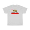 California-State-Flag-T-Shirt-Style-Teesfreed